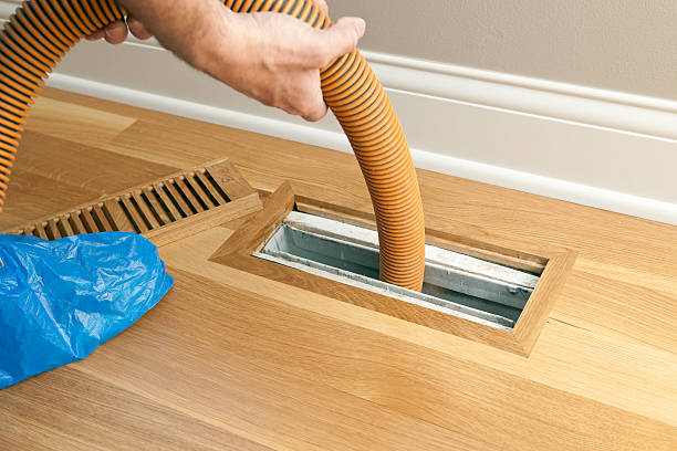 Best Local Air Duct Cleaning Services  in Tierra Verde, FL